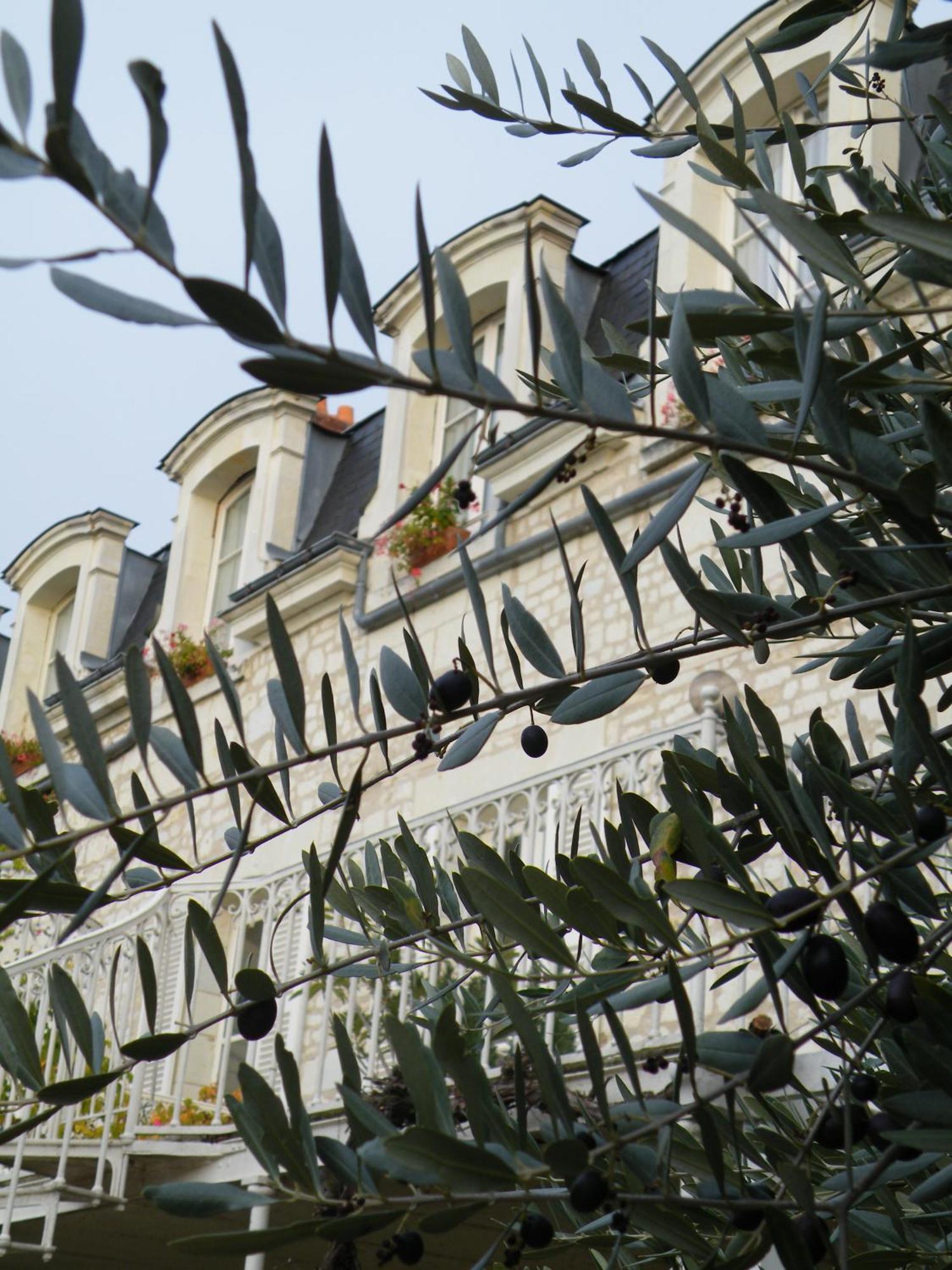 Hotel Diderot Chinon Dış mekan fotoğraf